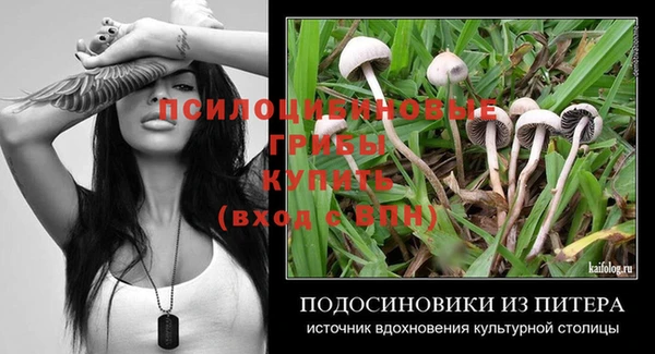 экстази Алзамай