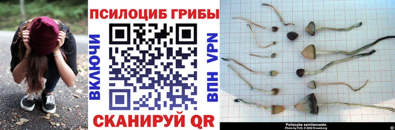 где найти наркотики  Катав-Ивановск  mega вход  Галлюциногенные грибы мухоморы 
